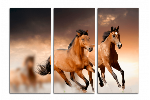 Модульная картина Табун лошадей