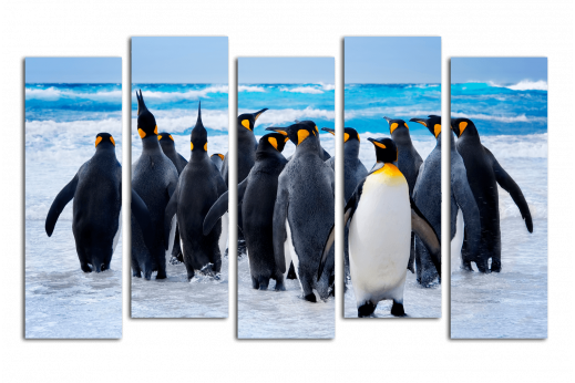 Модульная картина Пингвины